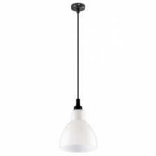 Подвесная люстра Loft 865017