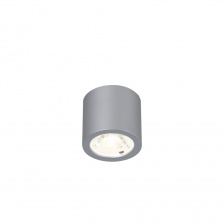 Точечный светильник Deorsum 2808-1C