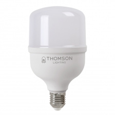 Лампочка светодиодная T100 TH-B2364