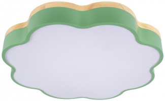 Потолочный светильник Axel 10225/36 Green