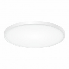 Потолочный светильник Бейсик CL738500V