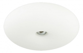 Потолочный светильник Opal 172/P48