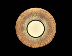 Настенно-потолочный светильник CW1L 000021524
