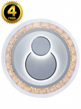 Потолочный светильник Led LED LAMPS 81097