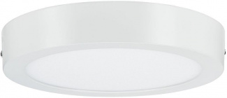 Потолочный светильник Carpo 79795