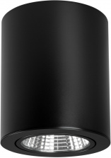 Точечный светильник FOCUS 029533