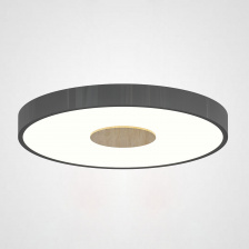 Потолочный светильник CENTRUM D30 Black