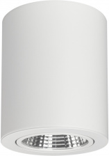 Точечный светильник FOCUS 021426