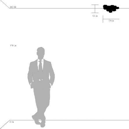 Потолочный светильник FAVO 750122 фото 3