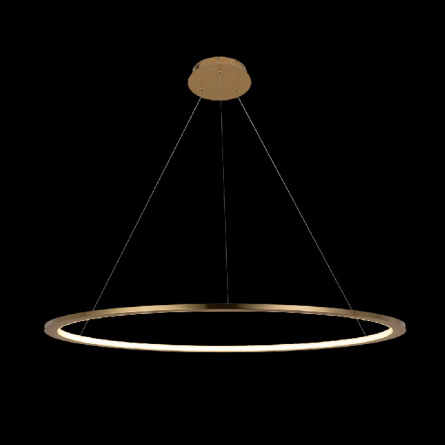 Подвесной светильник Ring 10014XL фото 2
