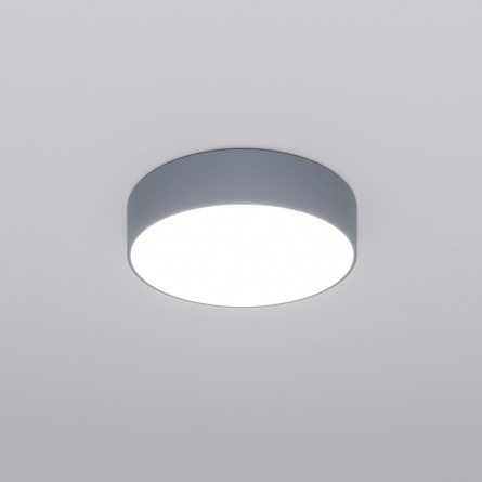 Потолочный светильник Entire 90318/1 серый фото 1