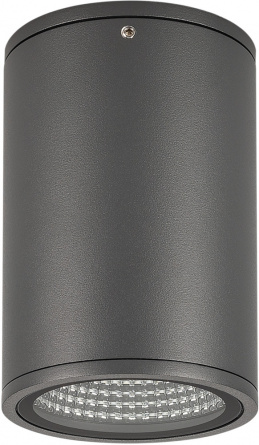 Потолочный светильник уличный FORMA 029971 фото 1