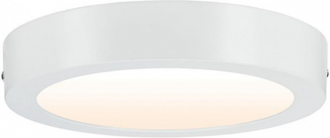 Потолочный светильник Carpo 79795 фото 2