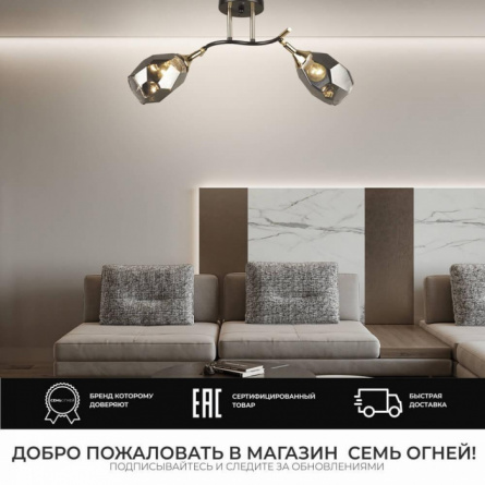 Потолочная люстра Koul SF3329/2C-CF-FGD-SMK фото 2