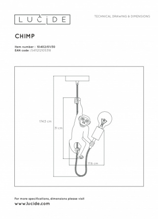 Подвесной светильник Extravaganza Chimp 10402/01/30 фото 3