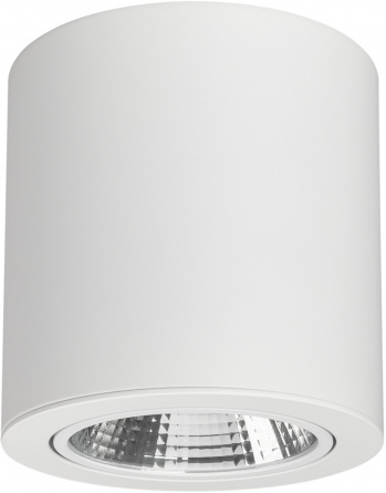 Точечный светильник FOCUS 021066 фото 1