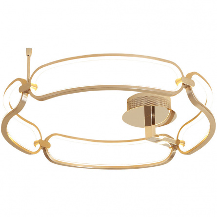 Кольцевая светодиодная люстра SELSO фото 1