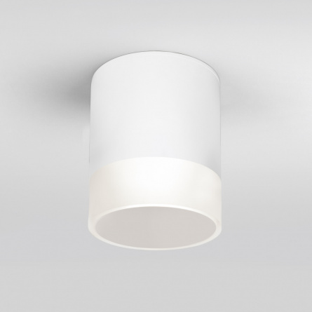 Потолочный светильник уличный Light LED 35140/H белый фото 1