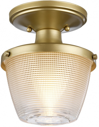 Потолочный светильник Dublin QZ-DUBLIN-SF-PNBR фото 1