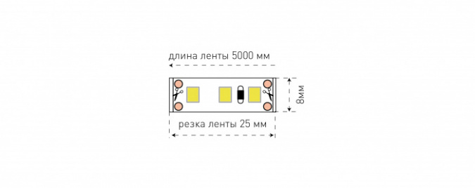 Светодиодная лента  SWG3120-12-9.6-R фото 2