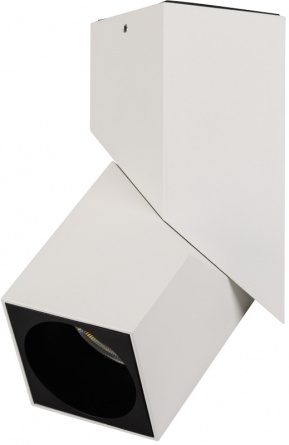 Спот TWIST 026467 фото 1