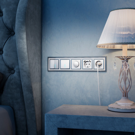 Выключатель Встраиваемые механизмы серебряные W1112106 фото 2