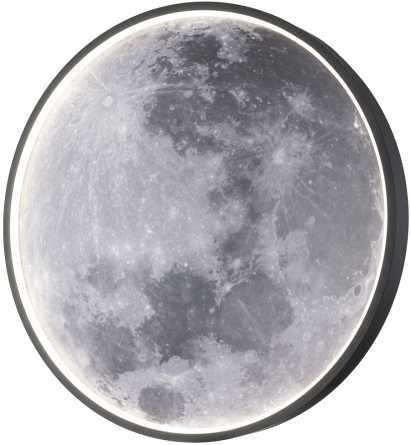 Настенно-потолочный светильник Planet 10226/SG LED Moon фото 1