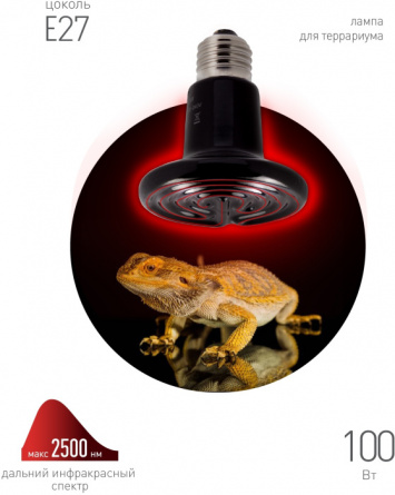 Лампочка инфракрасная CeramiHeat FITO-100W-НQ фото 2