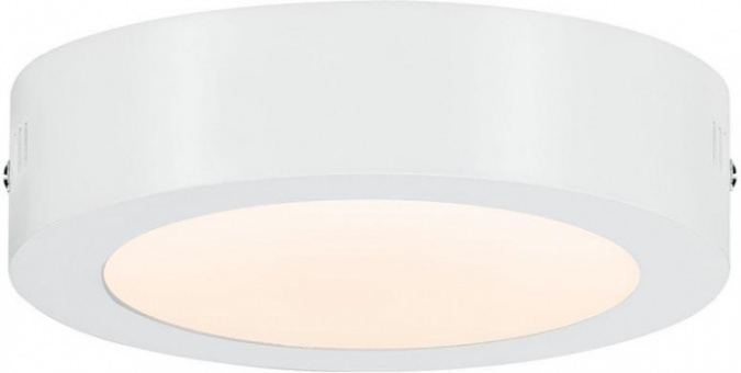 Потолочный светильник Carpo 79790 фото 2