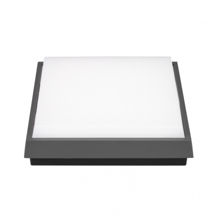 Потолочный светильник уличный AREA 029951 фото 3