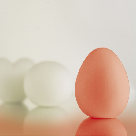 Интерьерная настольная лампа Egg 3690 фото 2