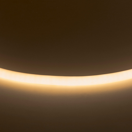 Светодиодная лента Neoled 430202 фото 1