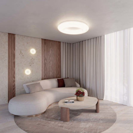 Потолочный светильник TOR BB 021243 фото 2