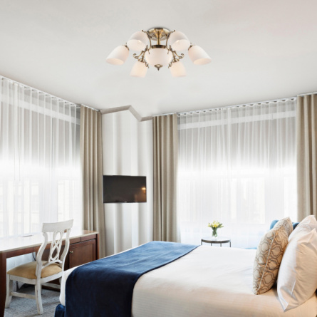 Потолочная люстра Ariele 22010/6+2 античная бронза фото 2