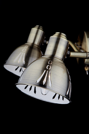 Спот Azimuth 20052/2 античная бронза фото 2