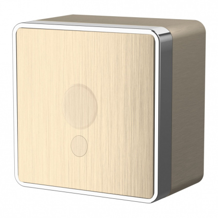 Вывод кабеля Накладные механизмы Gallant шампань рифленый W5050210 фото 1