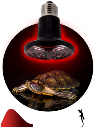 Лампочка инфракрасная CeramiHeat FITO-50W-НQ фото 3