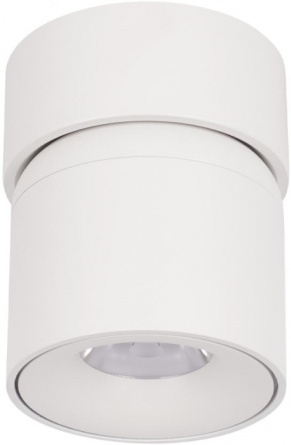 Точечный светильник Tictac 10180 White 4000K фото 3