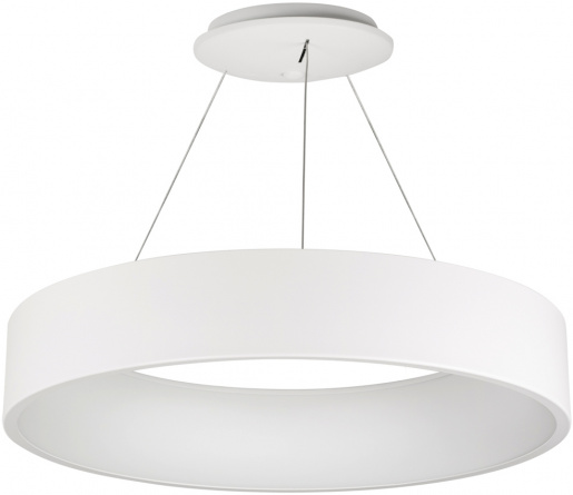 Подвесная люстра TOR RING 022148(1) фото 1