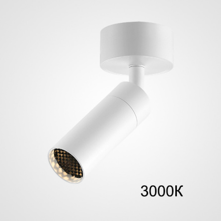 Потолочный светильник с изменениямым углом света Zoom Bell B White 3000К фото 1