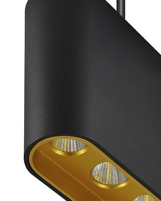 Подвесной светильник Eloi 8004/3P-BK-GD фото 2