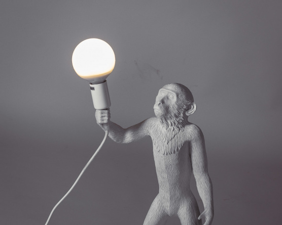 Лампа настольная The Monkey Lamp Standing Version фото 1