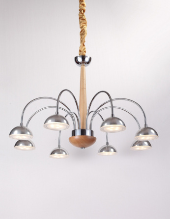 Подвесная люстра Natura Natura 065.8 Led фото 1