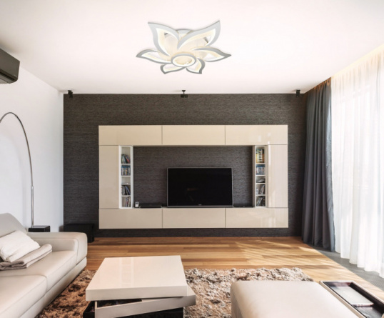 Потолочная люстра LED HIGH-TECH LED LAMPS 82020 фото 2