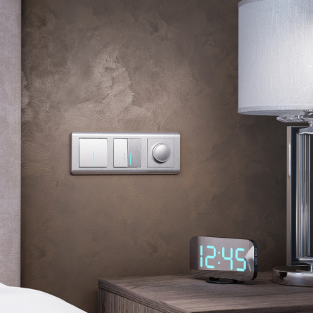 Выключатель Встраиваемые механизмы серебряный рифленый W1110109 фото 2