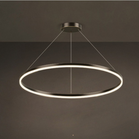 Кольцевая люстра CRUISE ONE LUX D60 фото 1