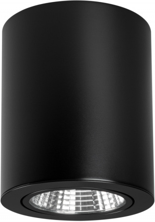 Точечный светильник FOCUS 028742 фото 1