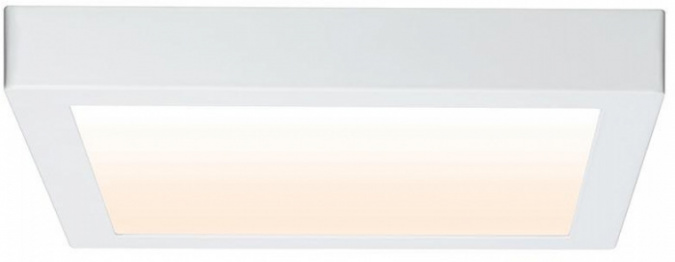 Потолочный светильник Carpo 79801 фото 2